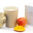 Leather Candle Sundown 900g by Apsley and Company Online Sale