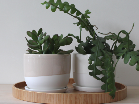 Clay and Glossy Planter on Sale