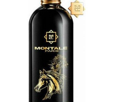 Montale Arabian Tonka - Eau De Parfum 100ml Discount